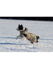 Manteau Rukka Pets Blizzard Diamond Alpin'Dog Promenade