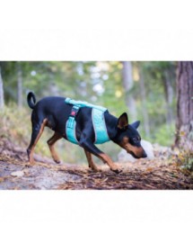 Mini Harnais Rukka Pets Laser Turquoise Alpin'Dog Balade