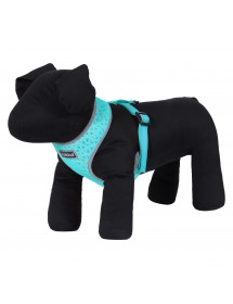 Mini Harnais Rukka Pets Laser Turquoise Alpin'Dog Petit Chien