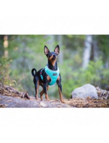 Mini Harnais Rukka Pets Laser Turquoise Alpin'Dog Promenade