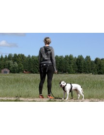 Baudrier Baggen Race X1 Alpin'Dog Canicross Balade Traction