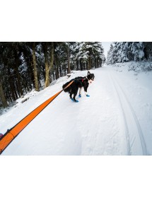 Bungee Leash 2M / 2,8M Non-Stop Alpin'Dog Traction